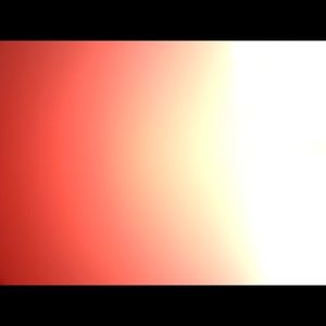 Meet your Posher, Ronan